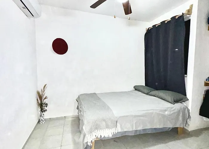 Apartment Zamma Paradise- 1 Recamara Libre En Departamento De 2 Recamaras